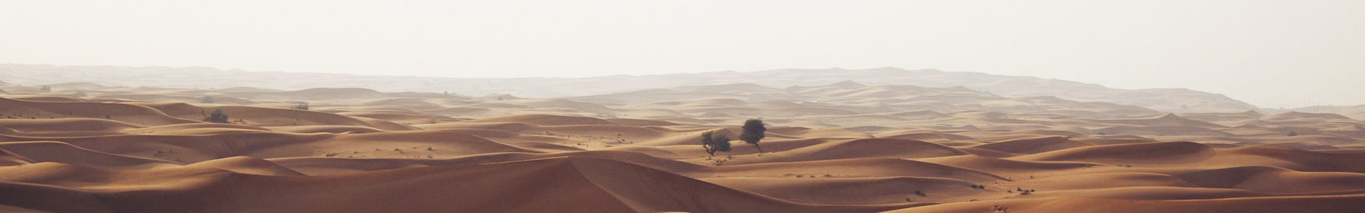 ݸɭ޹˾
